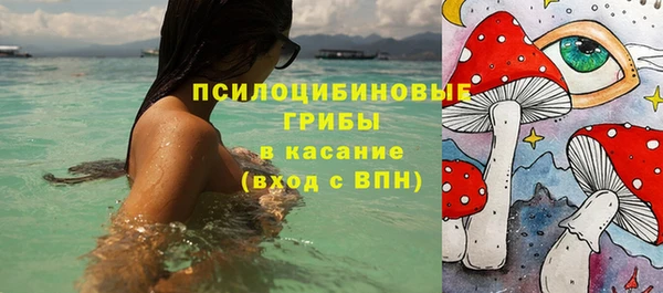 гидра Медногорск